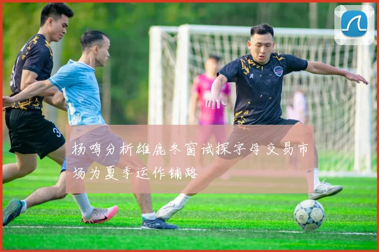 杨鸣分析雄鹿冬窗试探字母交易市场为夏季运作铺路