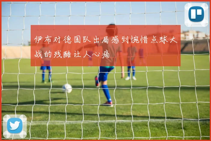 伊布对德国队出局感到惋惜点球大战的残酷让人心痛
